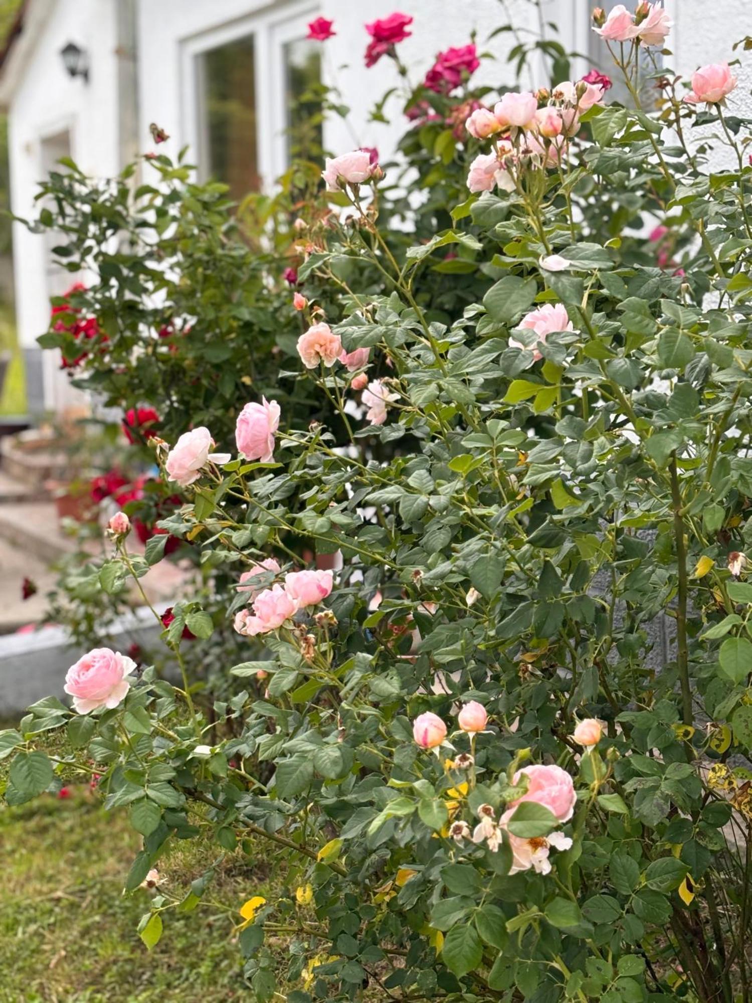 Country House Hatagel 外观 照片